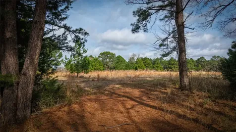 (39.15 Acres) 12868 County Road 122 Centerville TX 75833