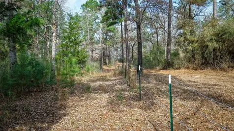 (39.15 Acres) 12868 County Road 122 Centerville TX 75833
