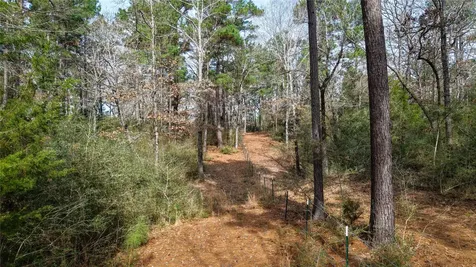 (39.15 Acres) 12868 County Road 122 Centerville TX 75833