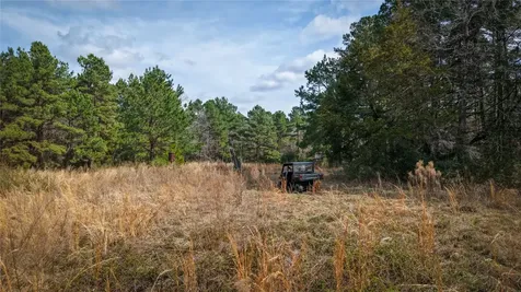 (39.15 Acres) 12868 County Road 122 Centerville TX 75833