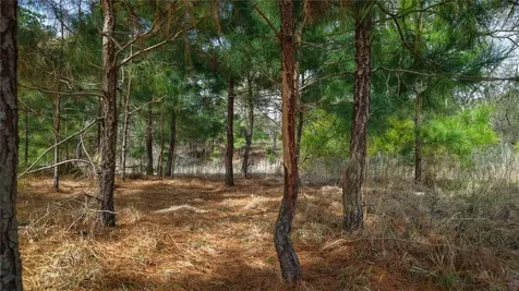 (39.15 Acres) 12868 County Road 122 Centerville TX 75833