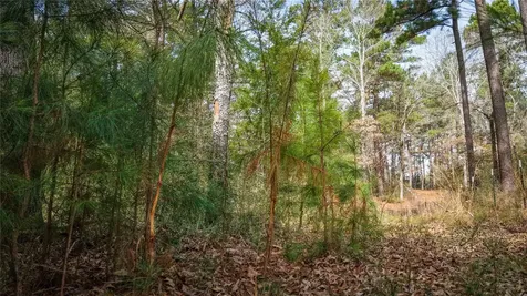 (39.15 Acres) 12868 County Road 122 Centerville TX 75833