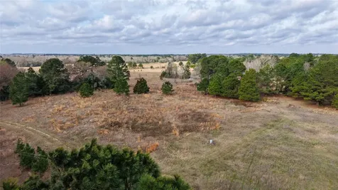 (39.15 Acres) 12868 County Road 122 Centerville TX 75833