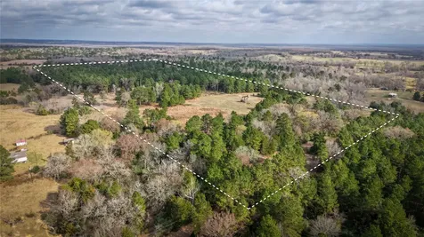 (39.15 Acres) 12868 County Road 122 Centerville TX 75833