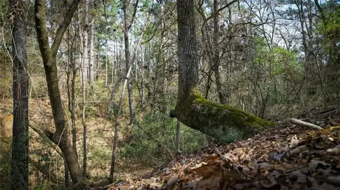 (39.15 Acres) 12868 County Road 122 Centerville TX 75833
