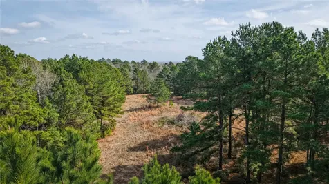 (39.15 Acres) 12868 County Road 122 Centerville TX 75833