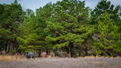 (39.15 Acres) 12868 County Road 122 Centerville TX 75833