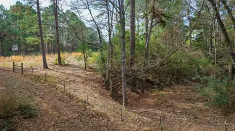 (39.15 Acres) 12868 County Road 122 Centerville TX 75833