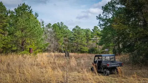 (39.15 Acres) 12868 County Road 122 Centerville TX 75833