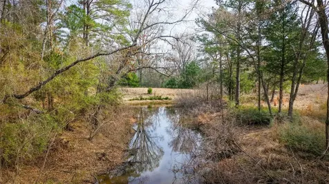 (39.15 Acres) 12868 County Road 122 Centerville TX 75833