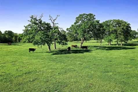 661 B Fm 2550 Huntsville TX 77320