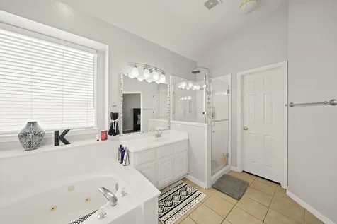25406 Myrtle Springs Spring TX 77373