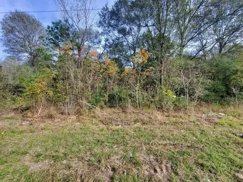 3.915 Ac Meador Road Conroe TX 77303