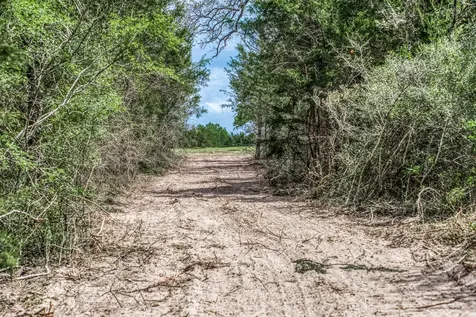 Parcel 3 Fm 1697 Carmine TX 78932