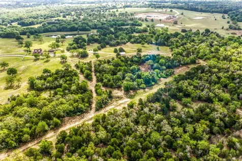 Parcel 3 Fm 1697 Carmine TX 78932