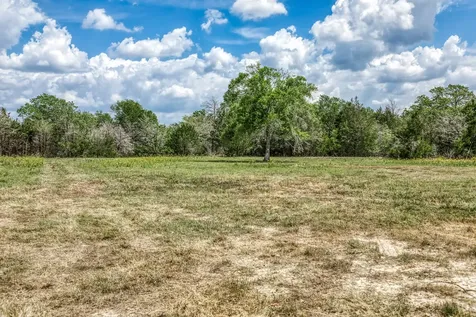 Parcel 3 Fm 1697 Carmine TX 78932