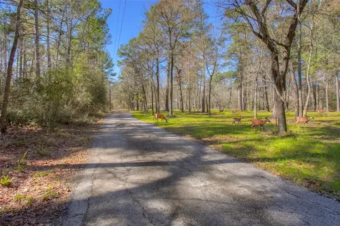 83 Dahlia Road Huntsville TX 77320