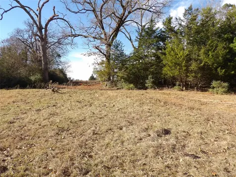 Tbd Fm 1272 Grapeland TX 75844