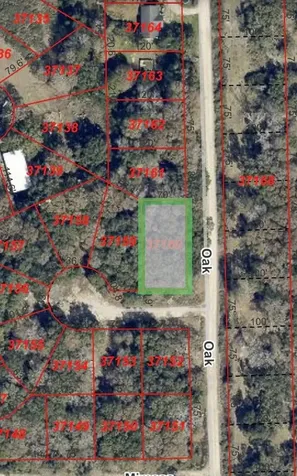 0 Oak Drive Bay City TX 77414