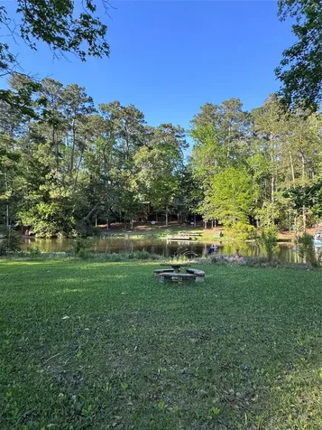 479 County Road Goodrich TX 77335
