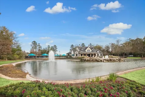 31417 Longwood Park Lane Spring TX 77386