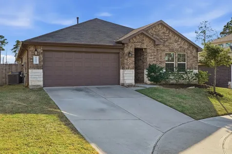 11519 Parrot Fish Court Conroe TX 77304