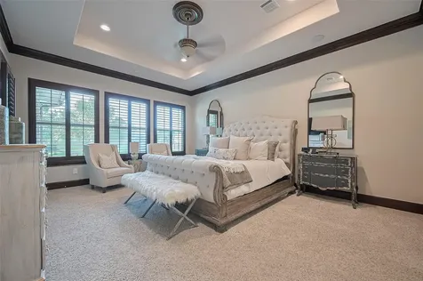 14 Royal King Road Tomball TX 77377