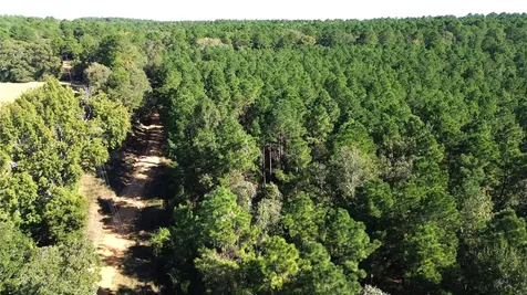 Tbd Cr 2265 Grapeland TX 75844