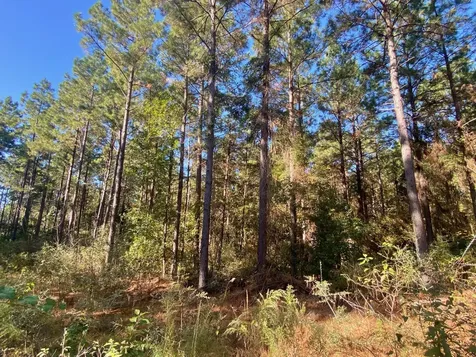 Tbd Cr 2265 Grapeland TX 75844