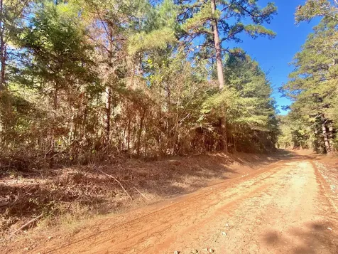 Tbd Cr 2265 Grapeland TX 75844