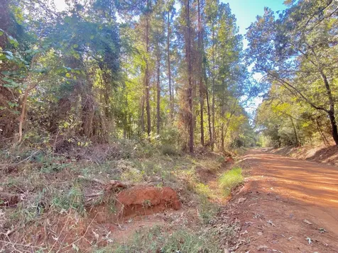 Tbd Cr 2265 Grapeland TX 75844