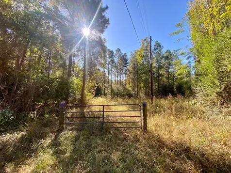 Tbd Cr 2265 Grapeland TX 75844