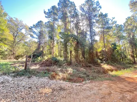 Tbd Cr 2265 Grapeland TX 75844