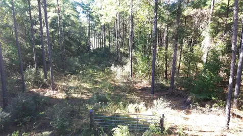 Tbd Cr 2265 Grapeland TX 75844