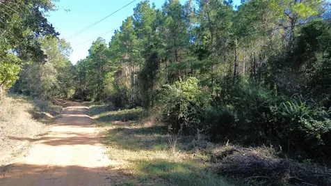 Tbd Cr 2265 Grapeland TX 75844
