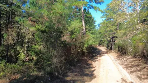 Tbd Cr 2265 Grapeland TX 75844