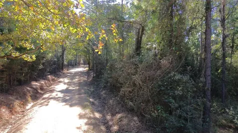 Tbd Cr 2265 Grapeland TX 75844