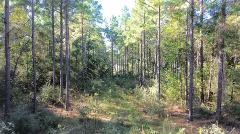 Tbd Cr 2265 Grapeland TX 75844