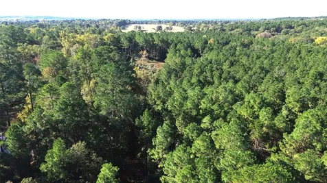 Tbd Cr 2265 Grapeland TX 75844