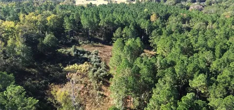 Tbd Cr 2265 Grapeland TX 75844
