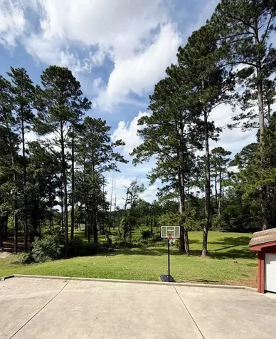 156 Cove Lane Brookeland TX 75931