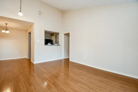 3500 Tangle Brush Drive 14 The Woodlands TX 77381