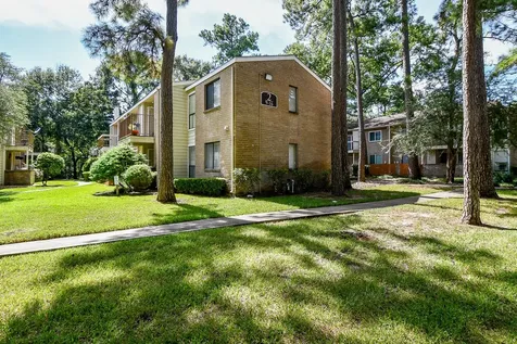 3500 Tangle Brush Drive 14 The Woodlands TX 77381