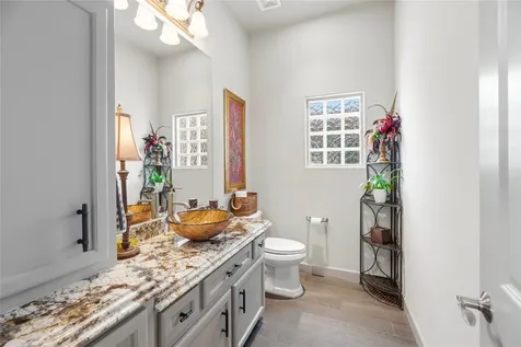 19223 San Solomon Springs Court Cypress TX 77433