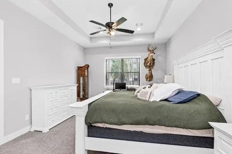 22718 Desert Willow Drive Magnolia TX 77355