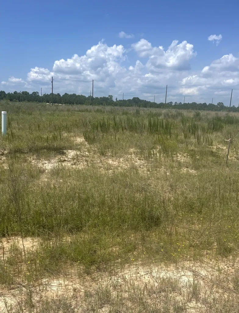 856 Road 591503 Teresa Drive Cleveland TX 77327