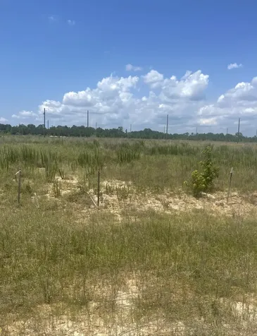 856 Road 591503 Teresa Drive Cleveland TX 77327