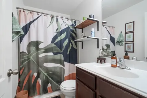 8715 Nicoli Creek Drive S Humble TX 77338
