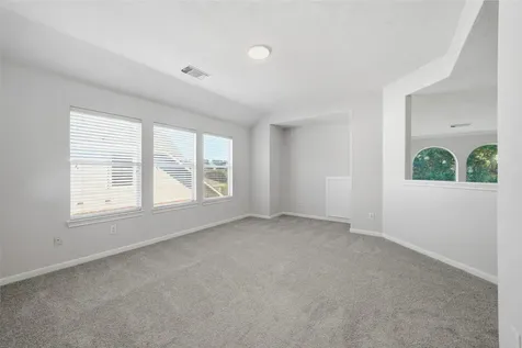 17418 Memorial Blossom Drive Spring TX 77379
