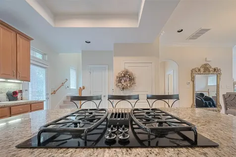 24 Versante Court Houston TX 77070